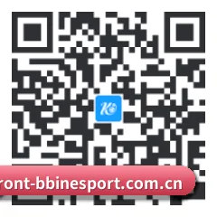 系统版 iOS 二维码 - BBINApp